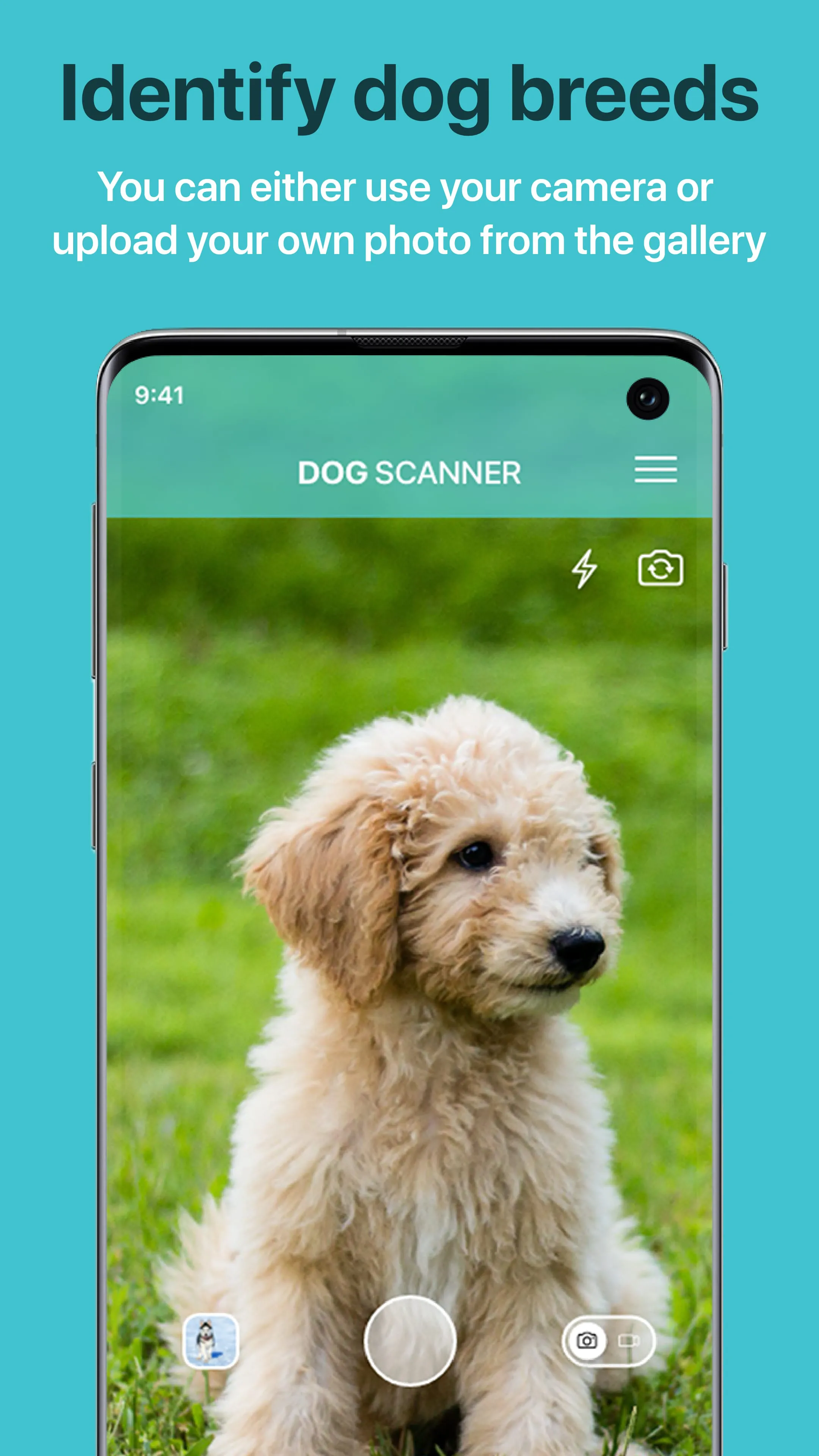 Dog Scanner: Breed Recognition
