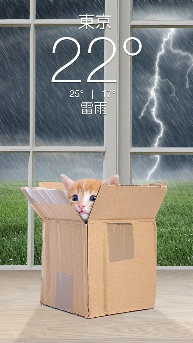Weather Kitty - App & Widget