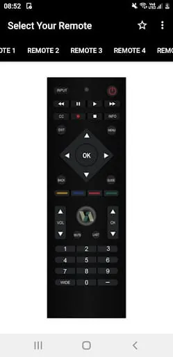 Vizio TV Remote