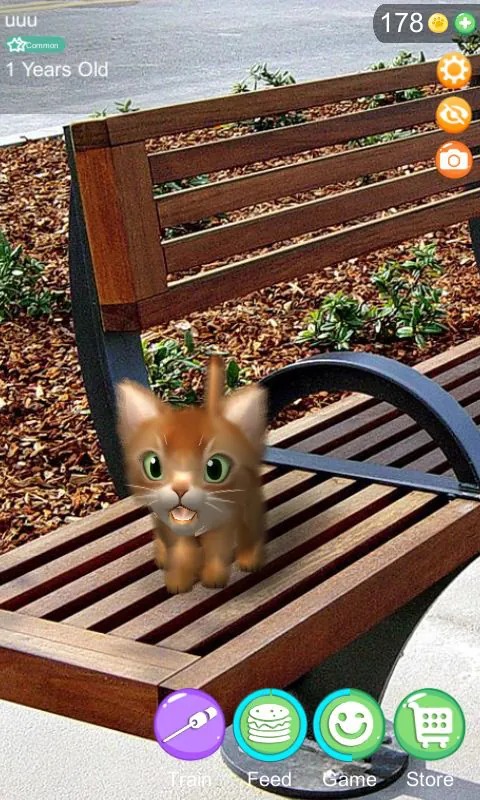 AR Cat