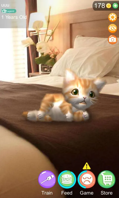AR Cat