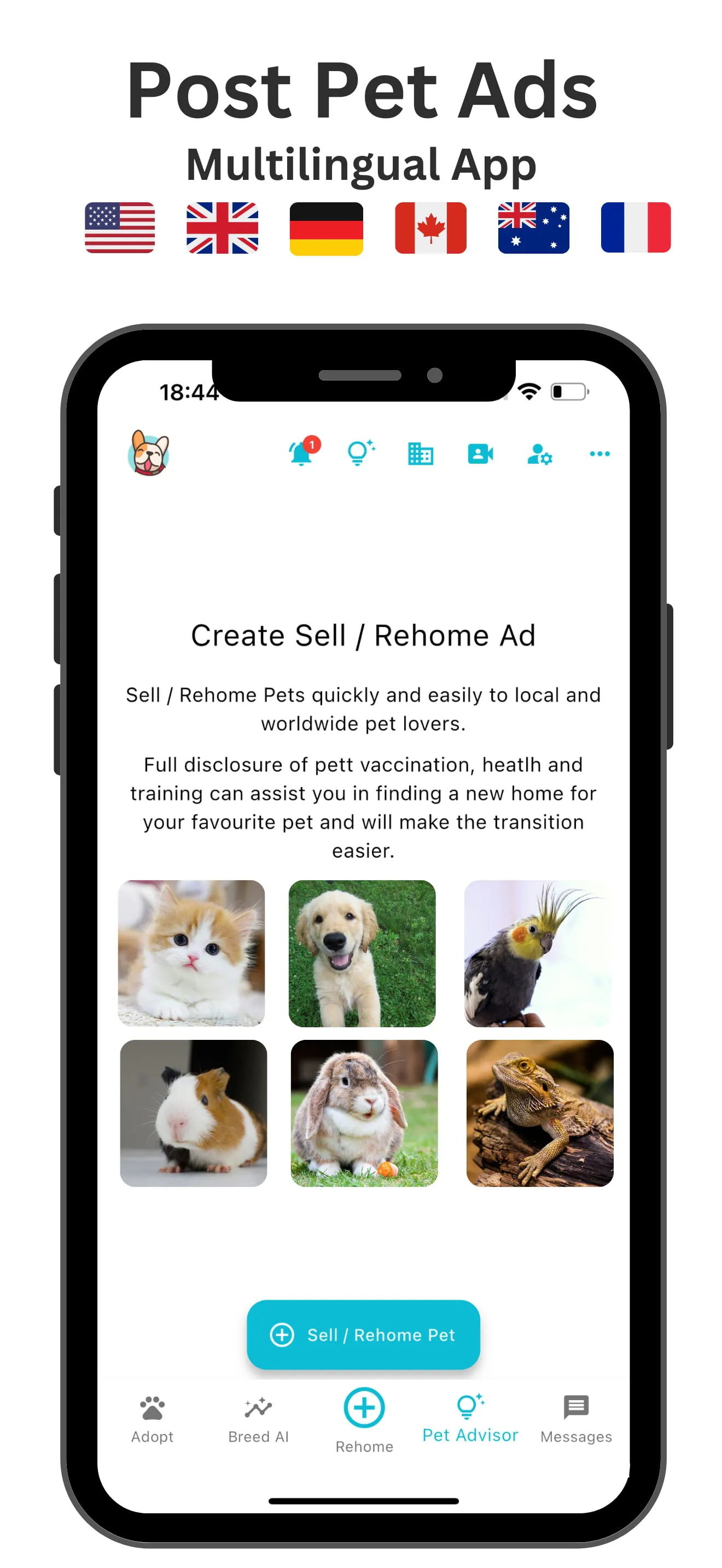 Pets Home: Adopt & Rehome Pets