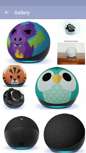 Amazon Echo Dot 5th Gen Guide