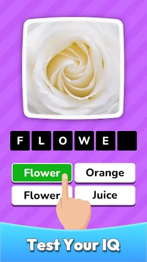 Zoom Quiz: Close Up Pics Game