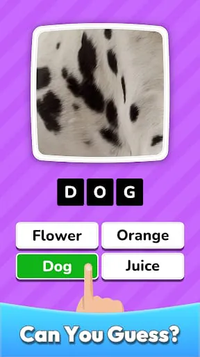 Zoom Quiz: Close Up Pics Game