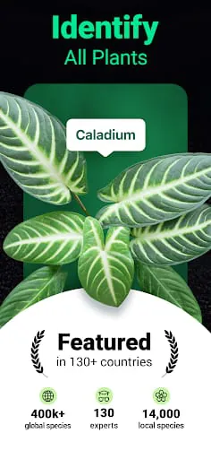 Plantum - Plant Identifier