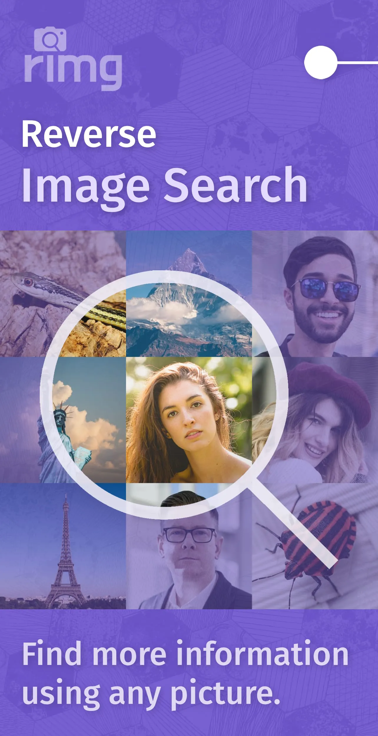 Reverse Image Search – rimg