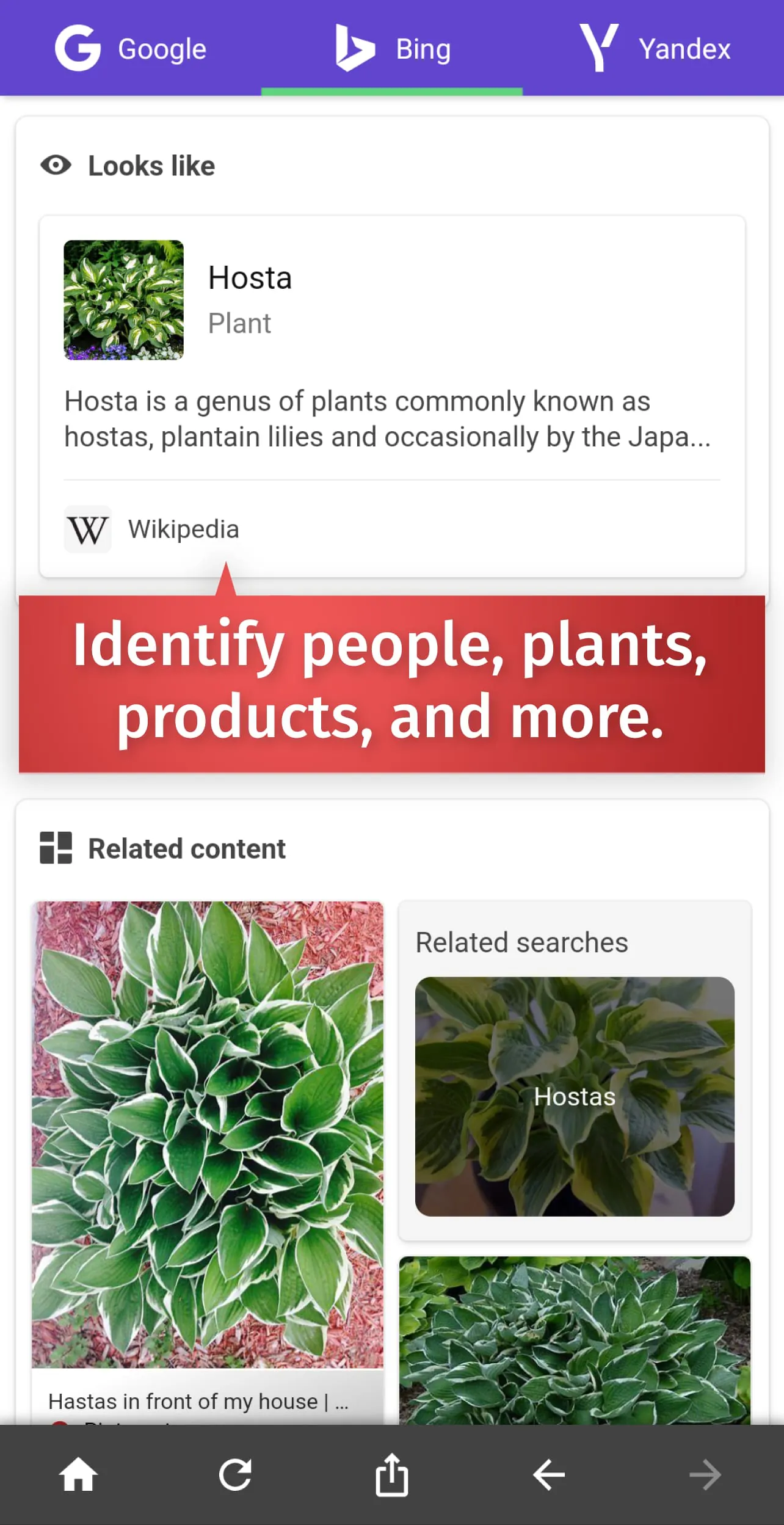 Reverse Image Search – rimg