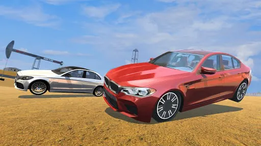 CarSim M5&C63