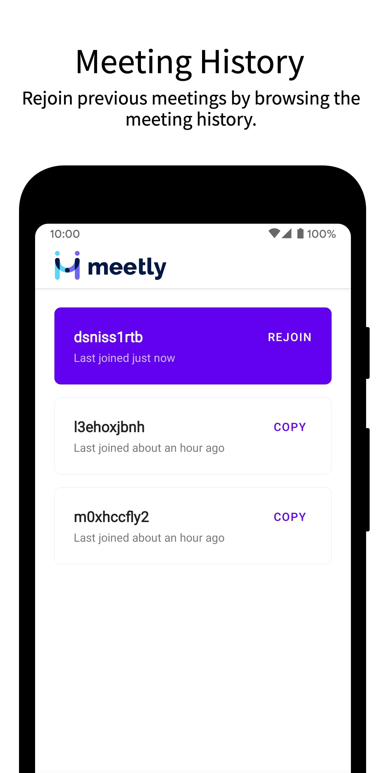 Video Meeting - Meetly