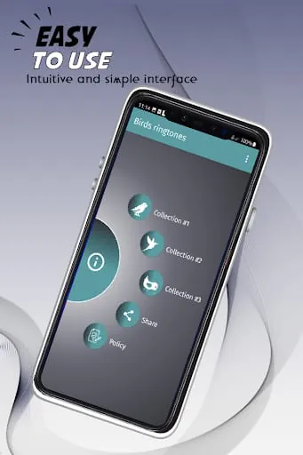 Birds ringtones, birds sound