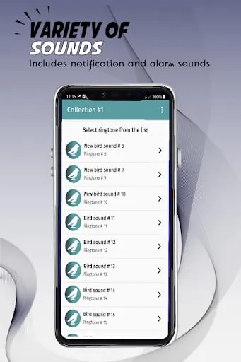Birds ringtones, birds sound