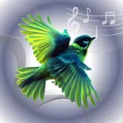 Birds ringtones, birds sound