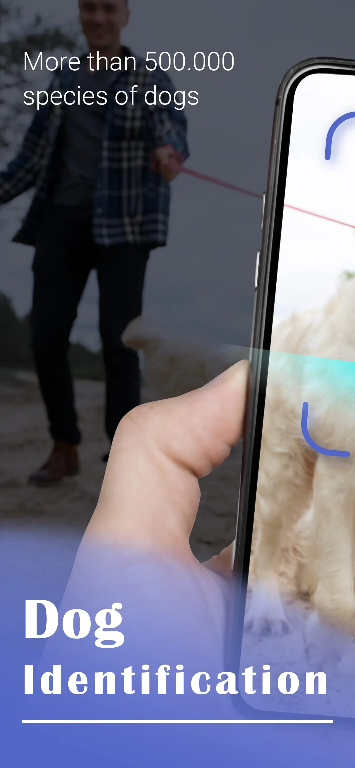 Dog Scanner: Breed Identifier