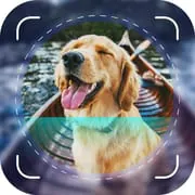 Dog Scanner: Breed Identifier