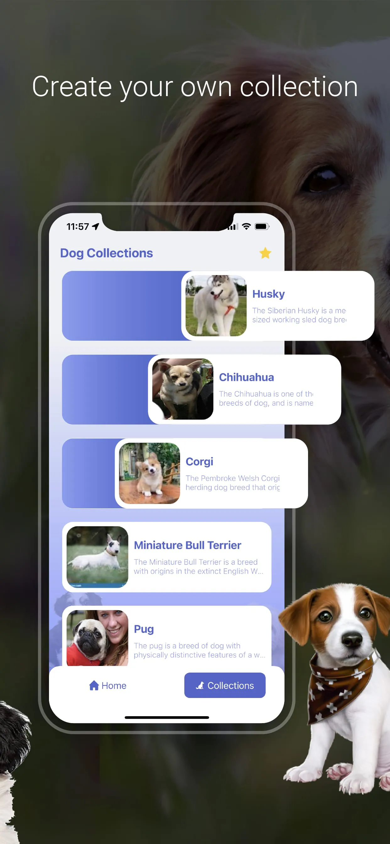 Dog Scanner: Breed Identifier