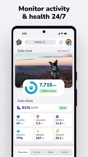 FitBark GPS for Dogs & Cats
