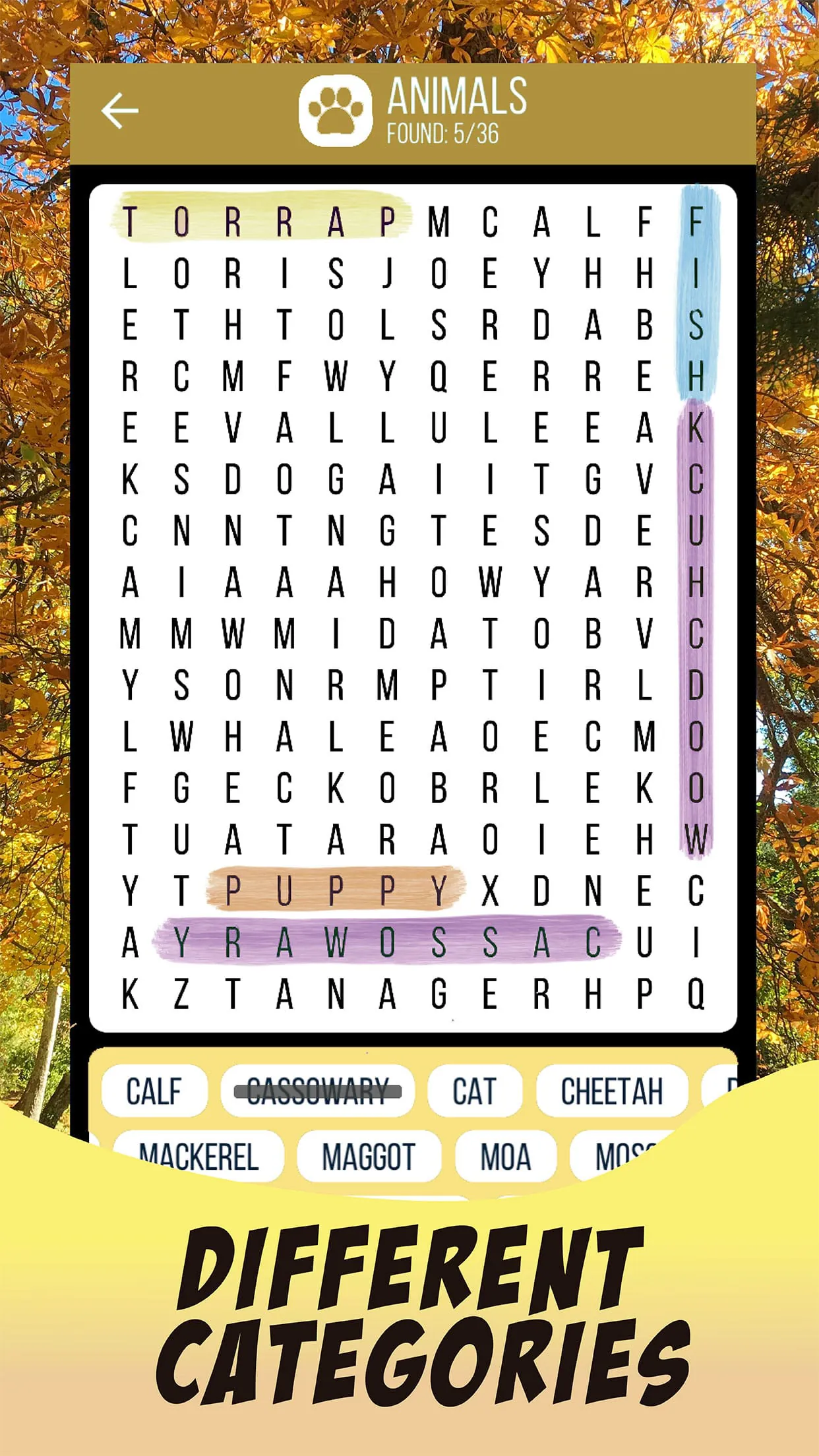 Word Search English Puzzle