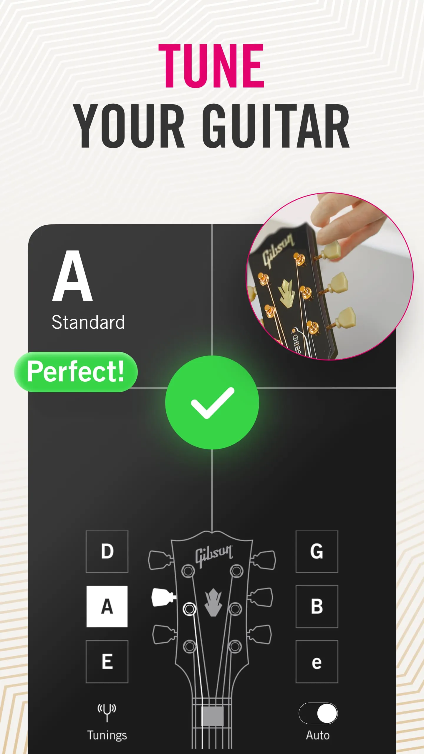 Gibson: Learn to Play Guitar