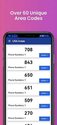 USA Phone Numbers, Receive SMS