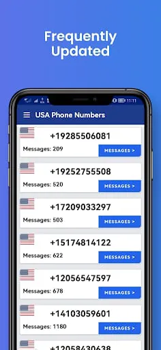 USA Phone Numbers, Receive SMS