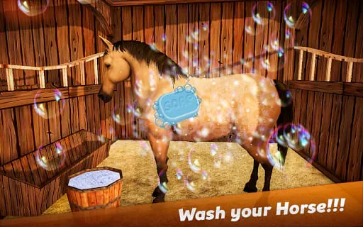 Horse Show Jumping Champions 2