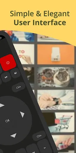 Universal TV Remote Control