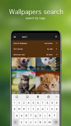 Cat Wallpapers & Cute Kittens