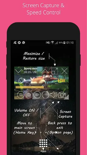 Lua Player-Popup Media Player
