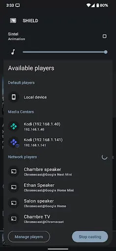 Yatse: Kodi remote and cast