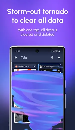 InBrowser - Incognito Browsing