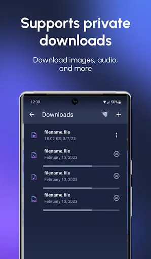 InBrowser - Incognito Browsing
