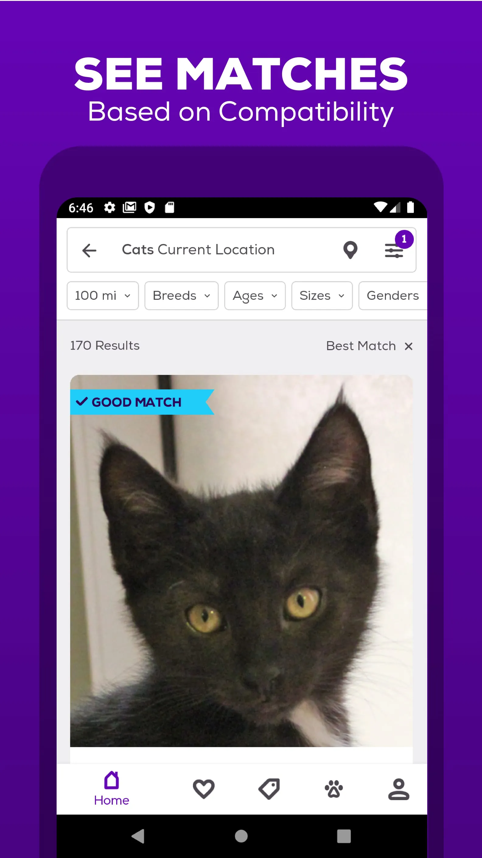 Petfinder - Adopt a Pet