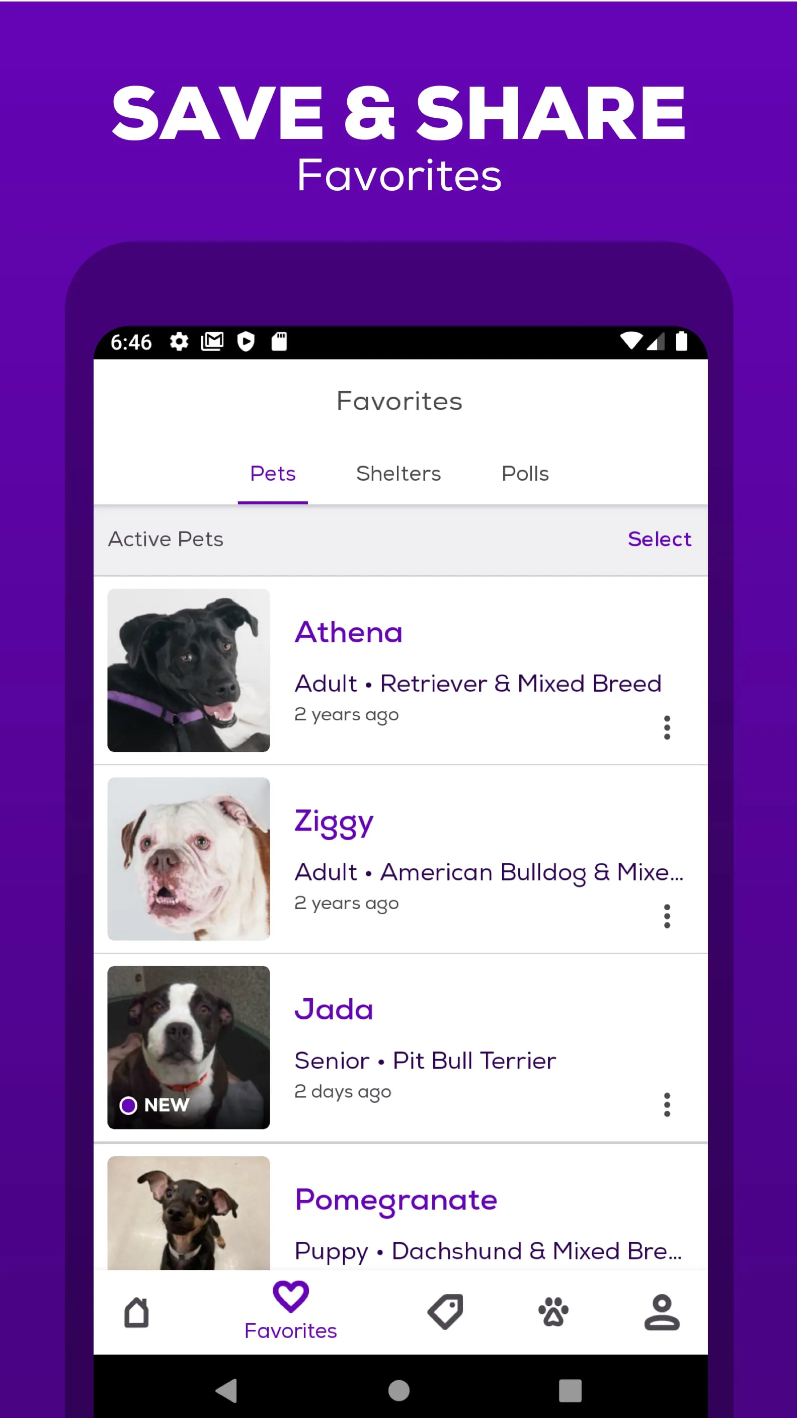 Petfinder - Adopt a Pet