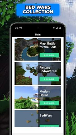 Bed Wors: battle for the bed