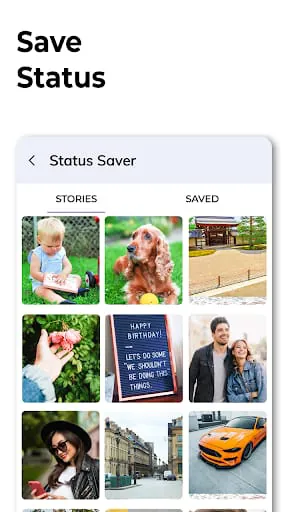 All Video Downloader