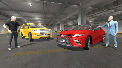 Car Sim Japan