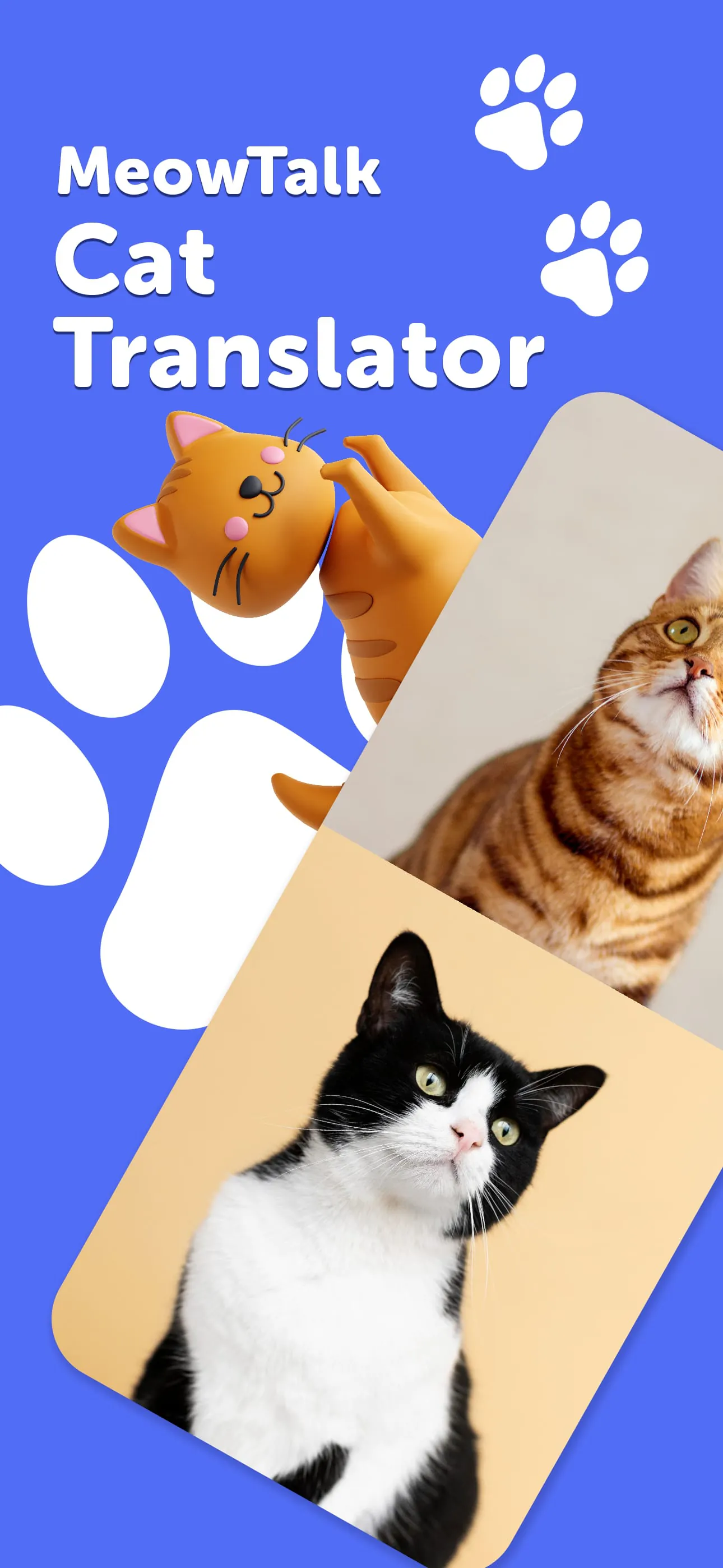 MeowTalk Cat Translator