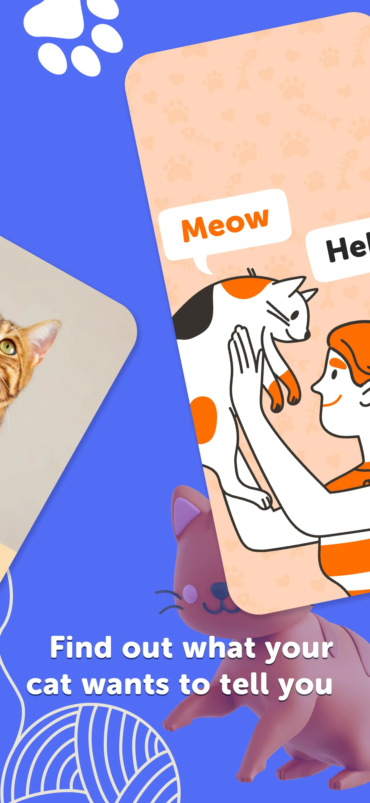 MeowTalk Cat Translator