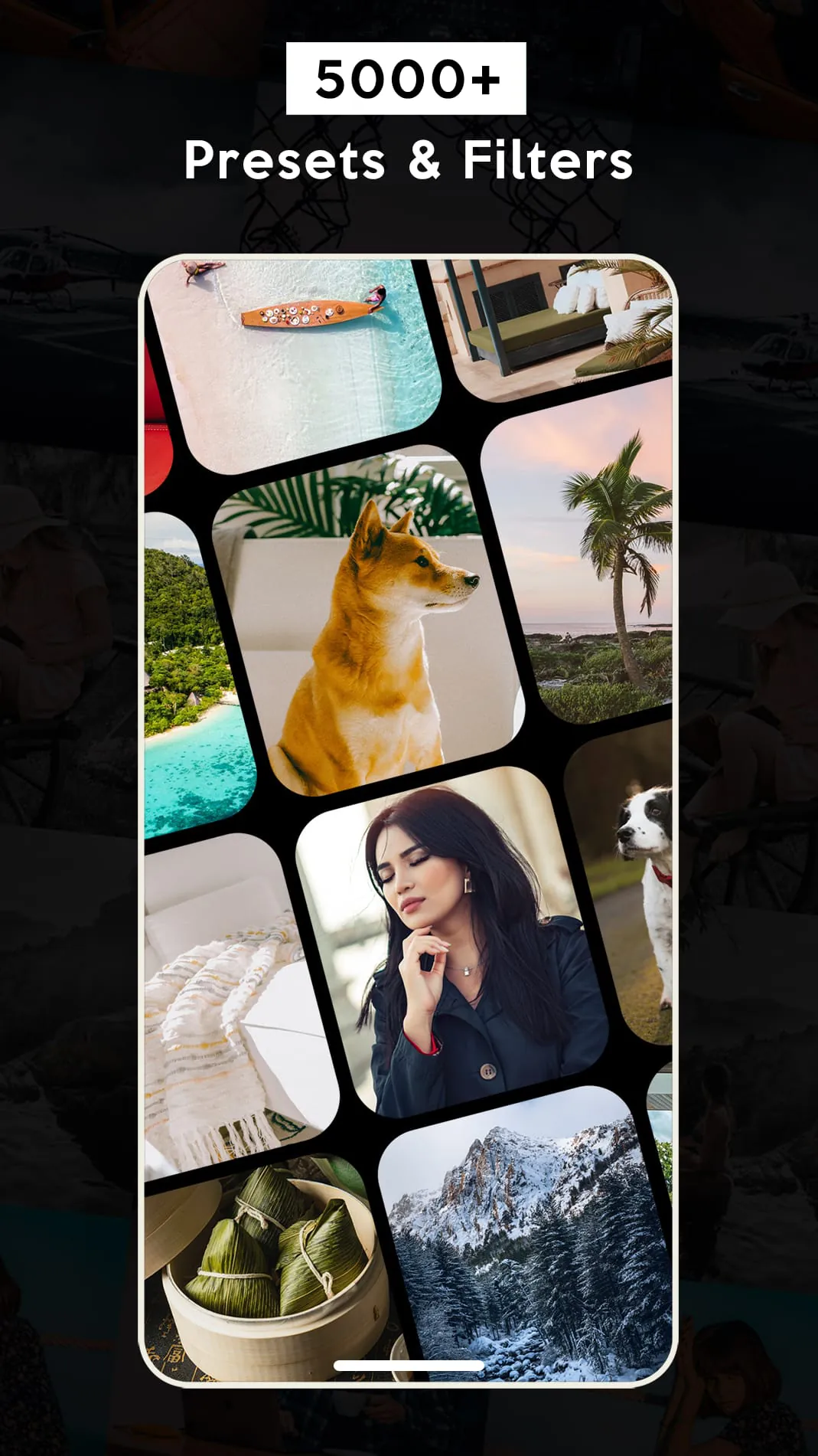 AI Preset & Filter For Lr