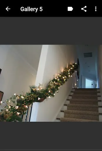 Indoor Christmas Decoration