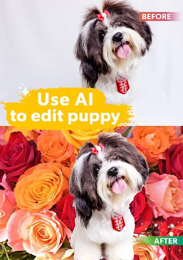 Dog Photo Editor