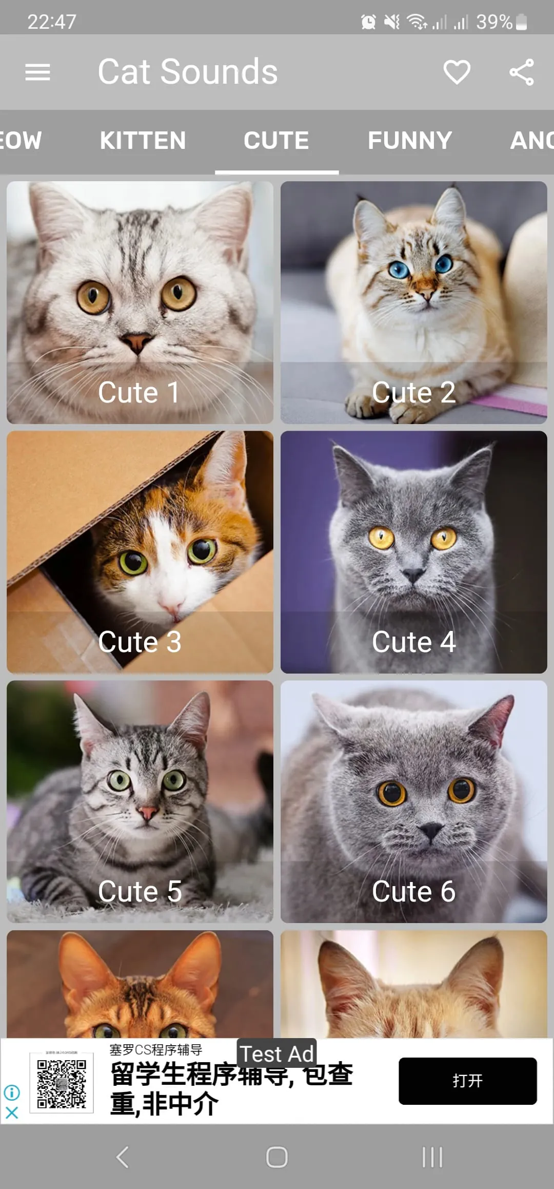 Cat Sounds - Meow Noises