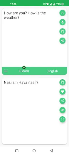 Turkish - English Translator