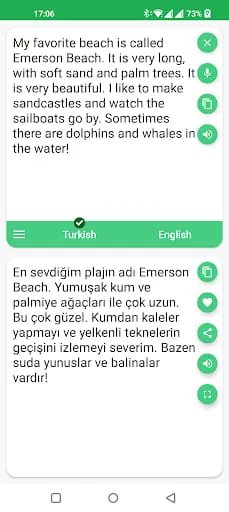Turkish - English Translator