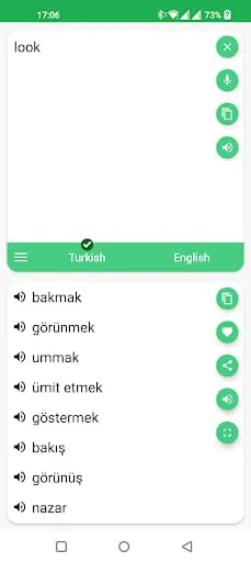 Turkish - English Translator