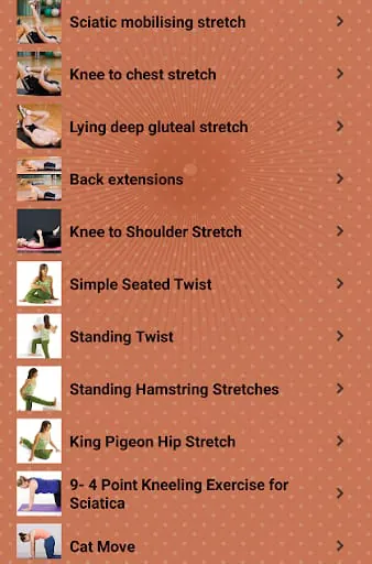 Sciatic Nerve Pain Exercises